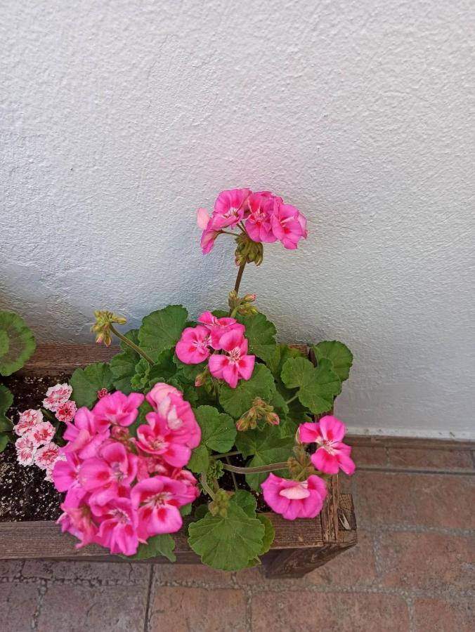 Vasiliki Apartman Szaloniki Kültér fotó